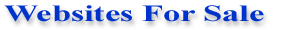 Established Websites For Sale